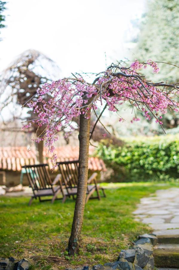 B&B Villa Camilla Pralungo Kültér fotó